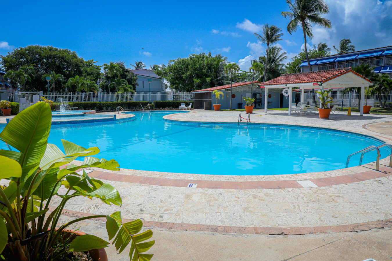 Awesome Swimming Pool!